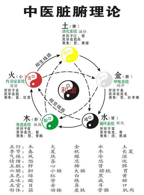 陰陽五行關係|中醫基礎/氣一元論、陰陽學說、五行學說的關係